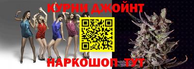гашик Новозыбков