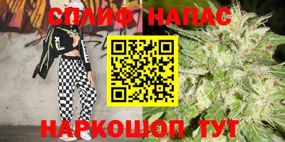 гашик Новозыбков