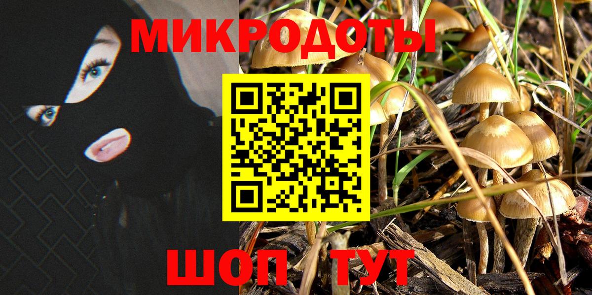 Сафоново  дарнет шоп  Вход с VPN  Галлюциногенные грибы Psilocybe 