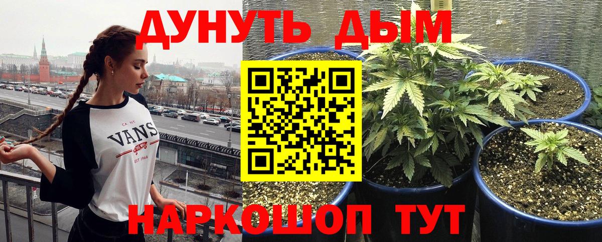 Шишки марихуана конопля  Бошки Шишки ГИДРОПОН  Марихуана LSD WEED  Сафоново  Вход с VPN 
